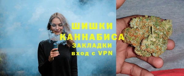 молекула духа Дмитров