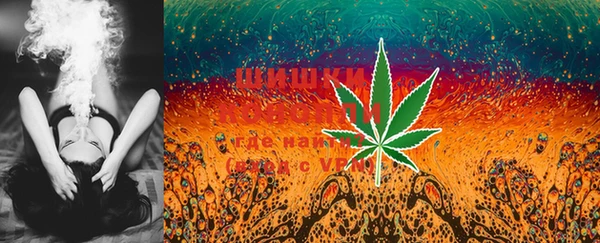 PSILOCYBIN Дмитровск
