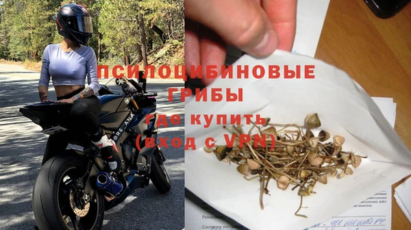 молекула духа Дмитров