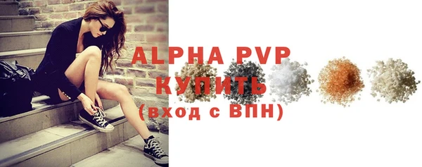 молекула духа Дмитров