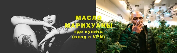 мдпв Елабуга