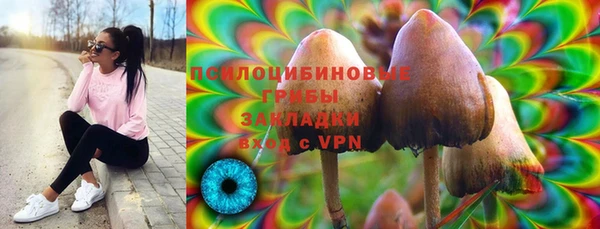 молекула духа Дмитров