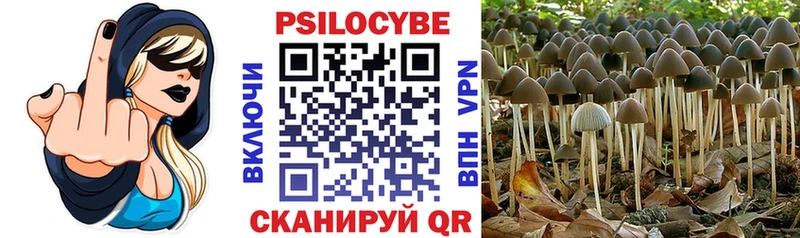 Купить где  Нижнекамск  Псилоцибиновые грибы Psilocybine cubensis 