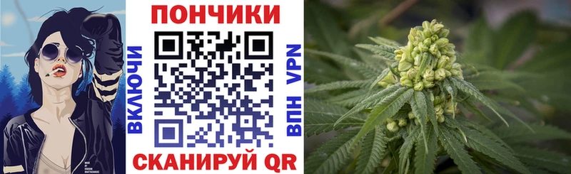 Купить закладки  Нижнекамск  Конопля индика 